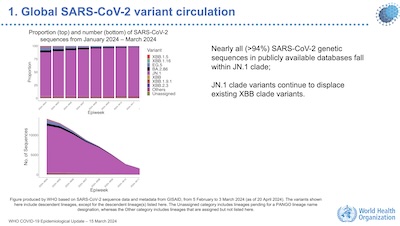 Wentworth, WHO: > 94% of SARS-CoV2 sequences seen are in the JN.1 clade