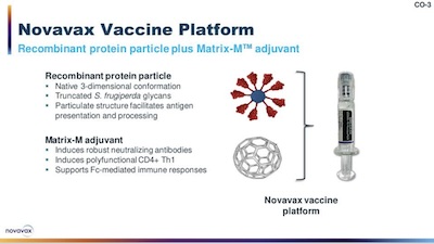Walker, Novavax: Protein vaccine design