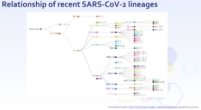 Thornburg, CDC: Relationship of recent SARS-CoV2 lineages