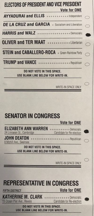 Federal portion of my ballot: Democrats for president, senate, and house